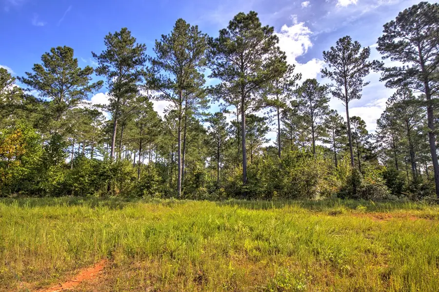 127 Hillside Lane, Ellijay, GA 30540 - Image #2