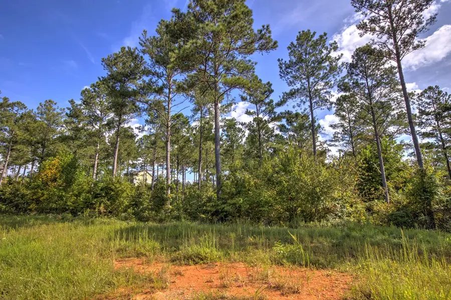 127 Hillside Lane, Ellijay, GA 30540 - Image #3