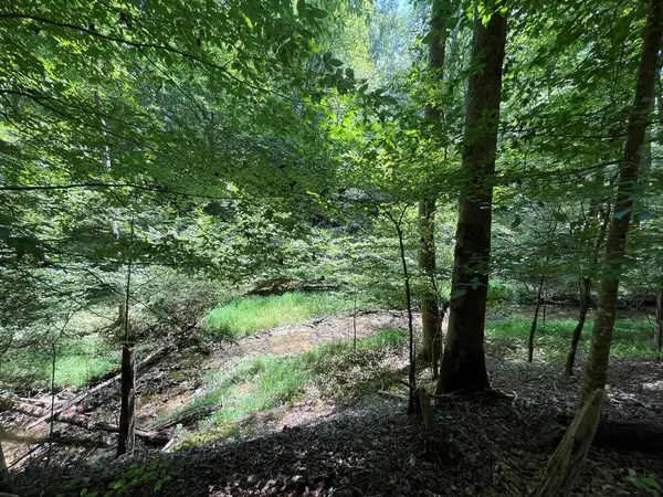 LOT 223 Bowline Drive, Ellijay, GA 30540