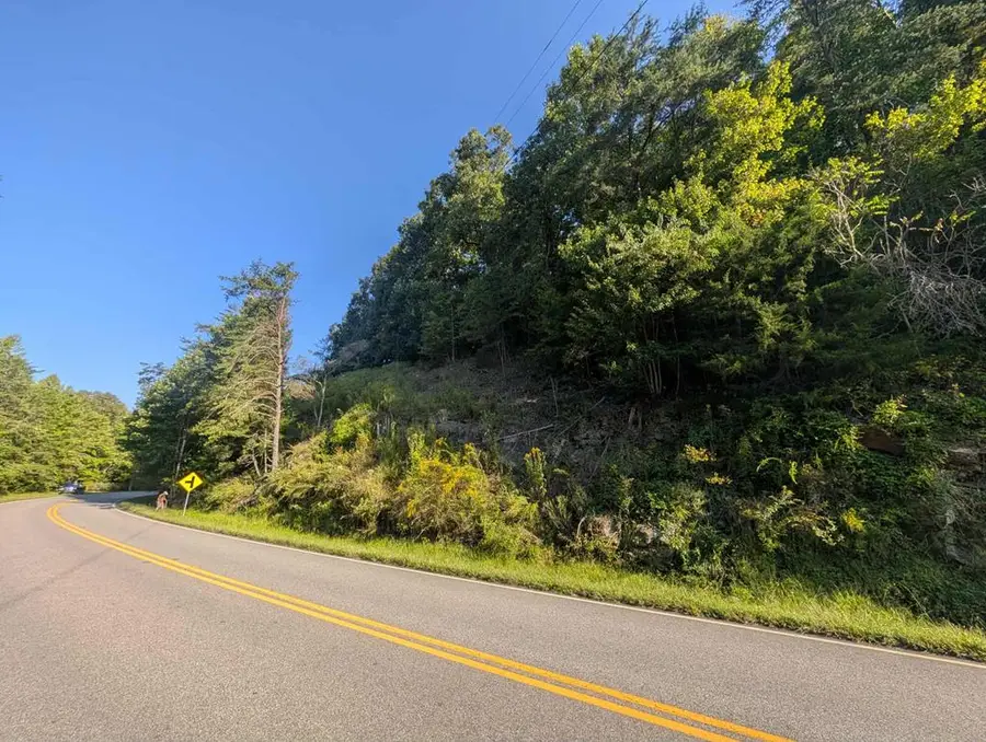 7.12 Russell Scenic Hwy, Blairsville, GA 30512 - #3