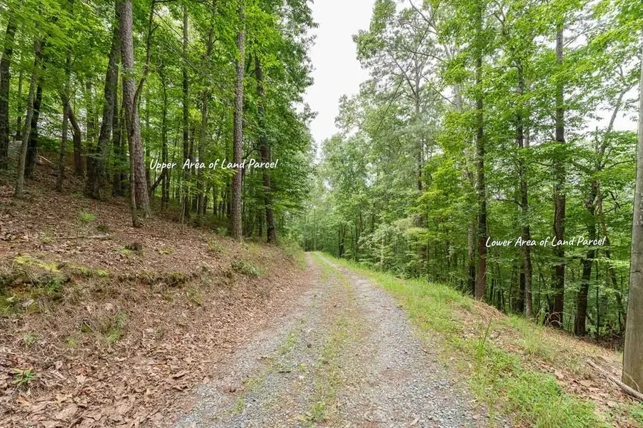0 Deer Lane, Ellijay, GA 30540 - #2