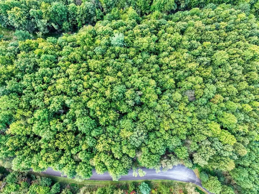 Lot 32 Westside Drive, Blairsville, GA 30512 - Image #2