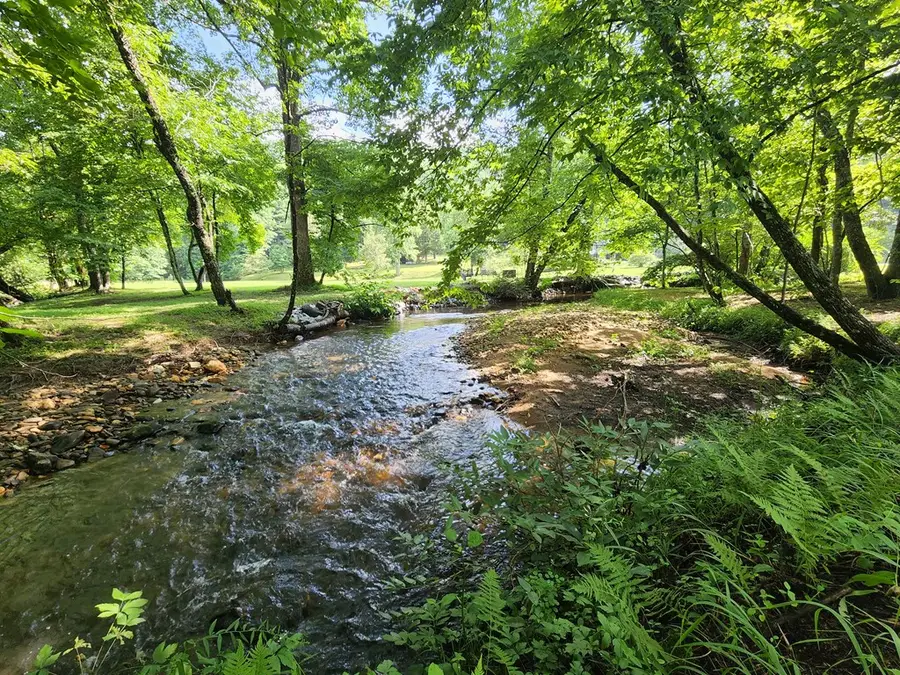 3.2 AC Stanley Creek Road, Blue Ridge, GA 30513 - Image #2