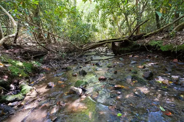 26.98 Ac Tusquittee, Hayesville, NC 28904