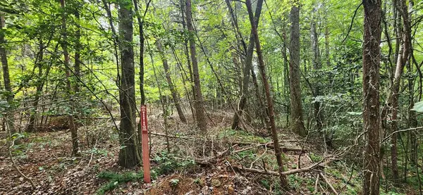 lt 42-43 Old Mill Pond Road, Mineral Bluff, GA 30559