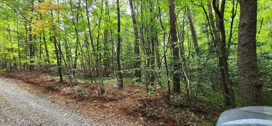 Lot 44 Old Mill Pond Road, Mineral Bluff, GA 30559 - Image #3