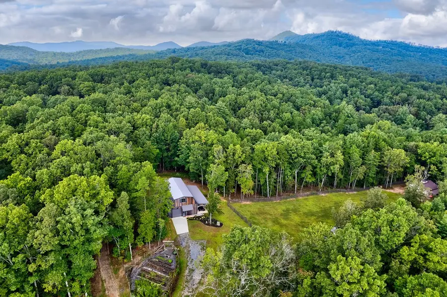 21 Ac Bear Hollow Drive, Mineral Bluff, GA 30559 - Image #3