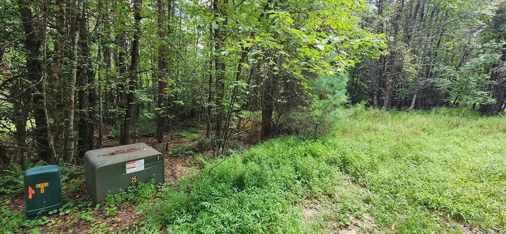 Lot 45 Old Mill Pond Road, Mineral Bluff, GA 30559 - Image #1