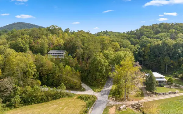 1.34 AC Laurel Springs Road, Mineral Bluff, GA 30559
