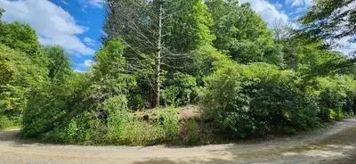 17, 18 Donna Lee Lane, Mineral Bluff, GA 30559 - Image #1