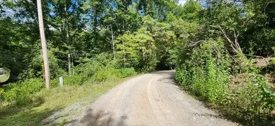 17, 18 Donna Lee Lane, Mineral Bluff, GA 30559 - Image #3