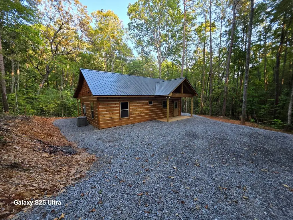 110 Old Ridge Road, Mineral Bluff, GA 30059 - Image #1