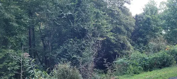 0 Chatuge Village Drive, Hayesville, NC 28904