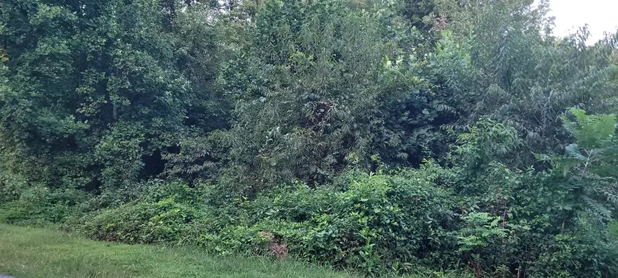 0 Chatuge Village Drive, Hayesville, NC 28904 - Image #2