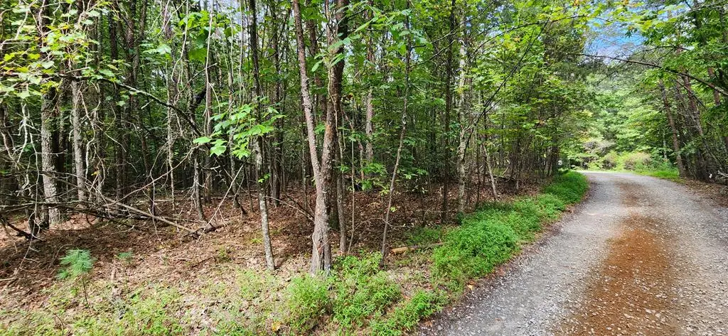LT 14,15 Donna Lee Lane, Mineral Bluff, GA 30559 - Image #1