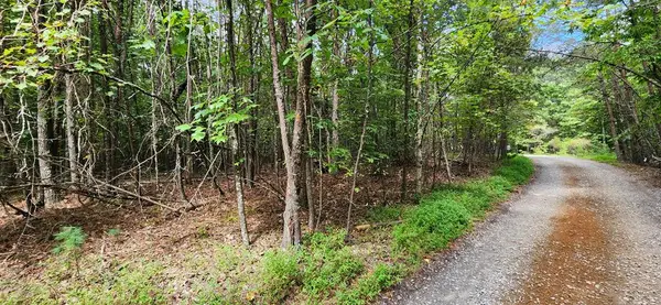 LT 14,15 Donna Lee Lane, Mineral Bluff, GA 30559