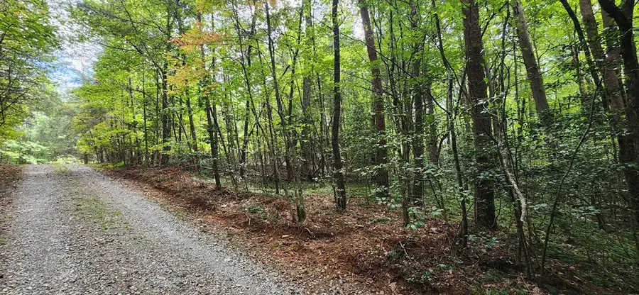 LT 14,15 Donna Lee Lane, Mineral Bluff, GA 30559 - Image #3