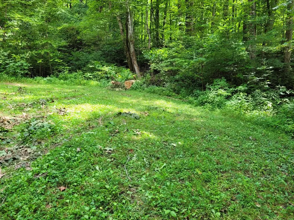 Lot 9 Noel Ridge, Hayesville, NC 28904 - Image #1