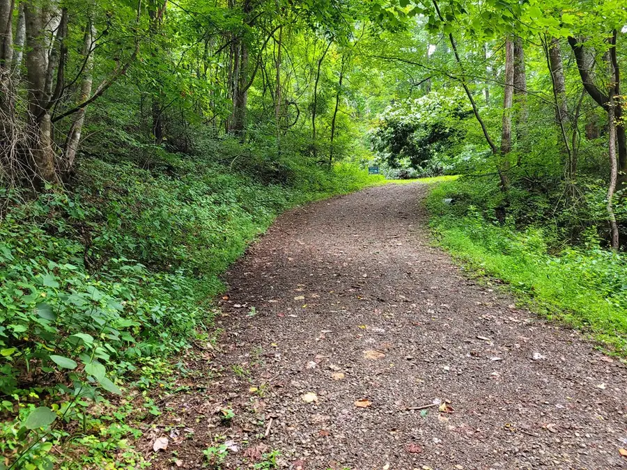 Lot 9 Noel Ridge, Hayesville, NC 28904 - Image #2