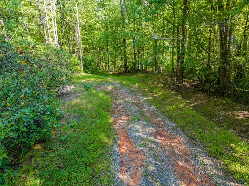 0 Pine Ridge Road, Ellijay, GA 30536 - Image #1