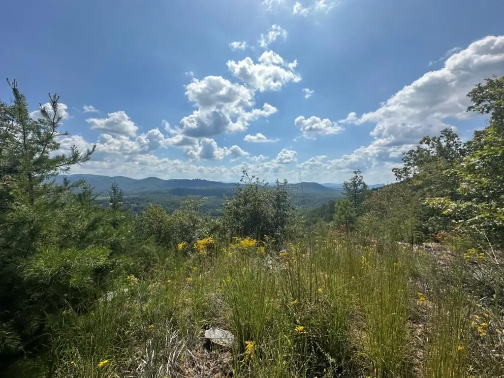 Lot 8/8a Bergan Moore Road, Murphy, NC 28906 - Image #1