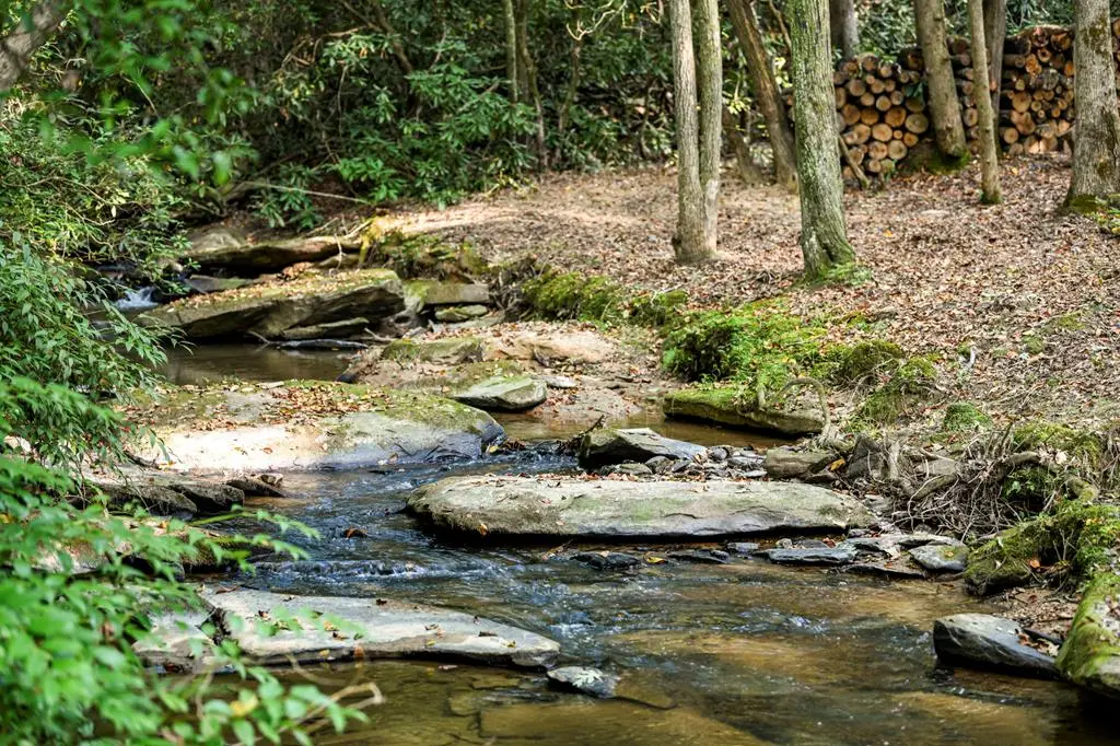 0 Evergreen Lane, Mineral Bluff, GA 30559 - Image #1