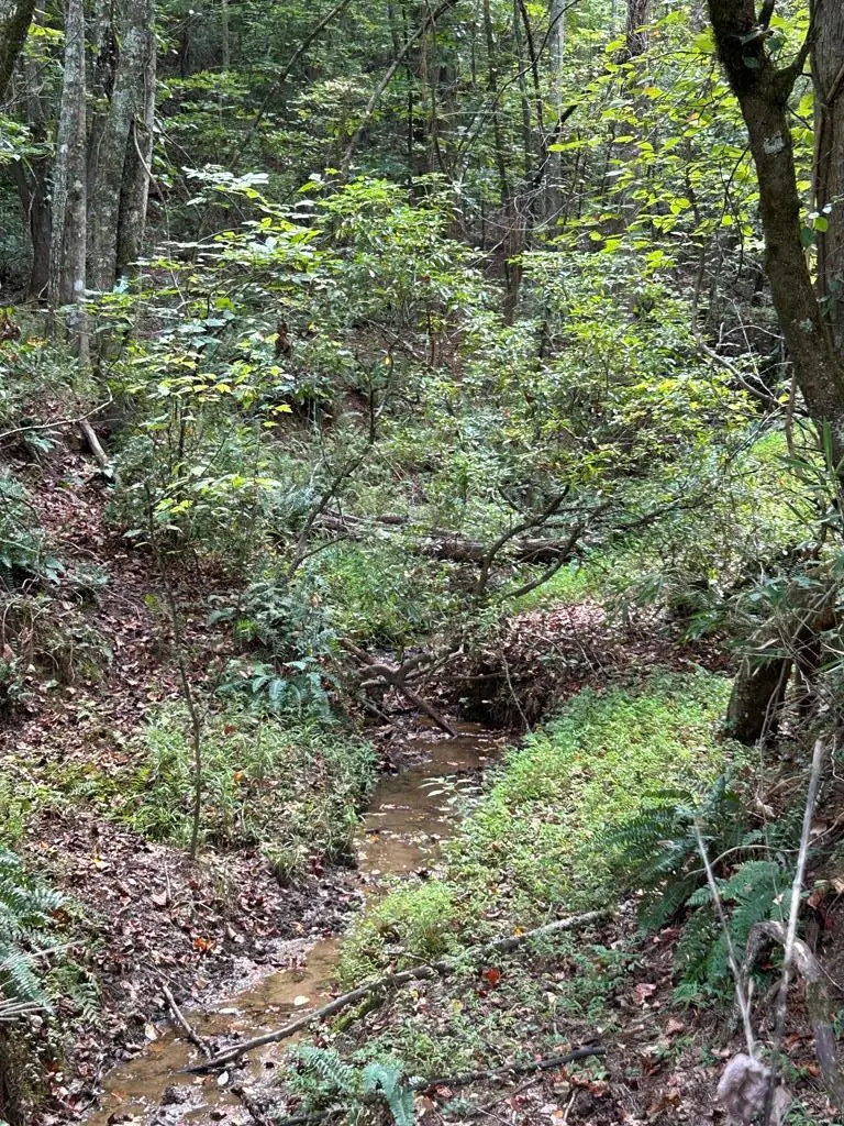 0 Yonah View Drive, Cleveland, GA 30528 - Image #2