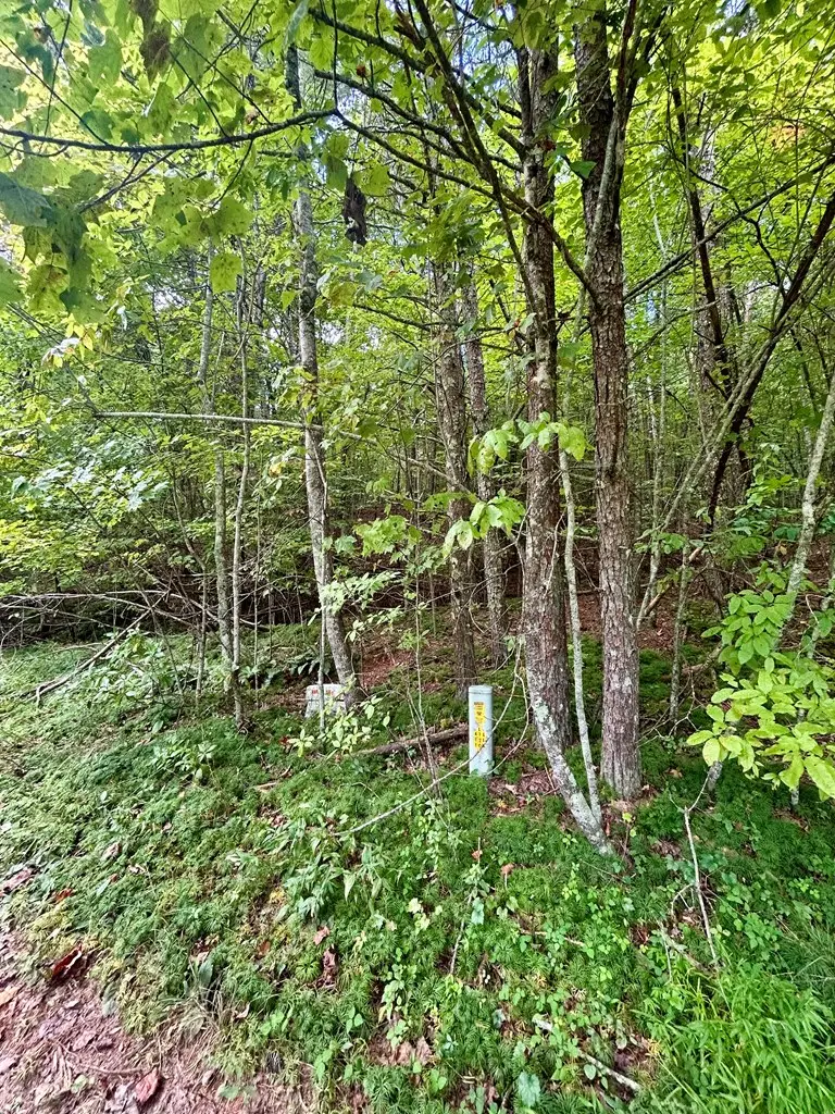 0 Yonah View Drive, Cleveland, GA 30528 - Image #3