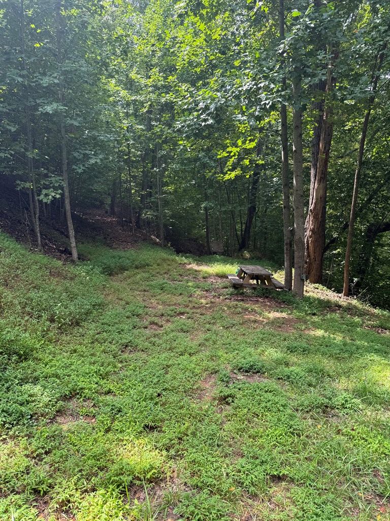 TRACT 4 Morgan Ridge Drive, Young Harris, GA 30582 - Image #2