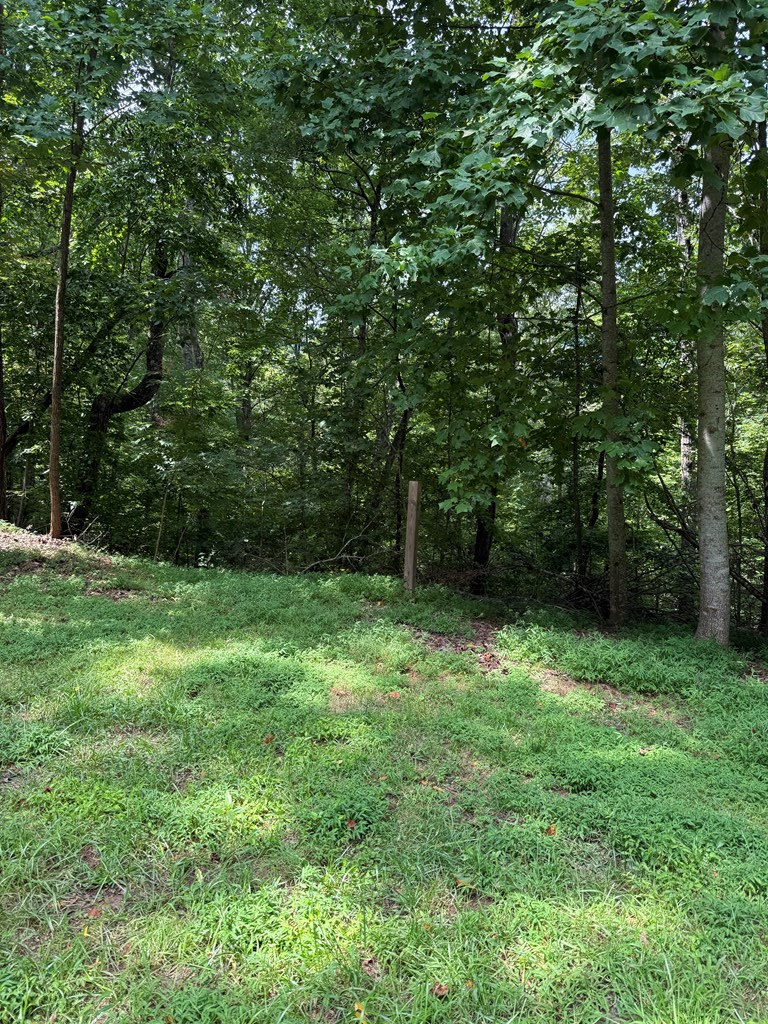 TRACT 4 Morgan Ridge Drive, Young Harris, GA 30582 - Image #3