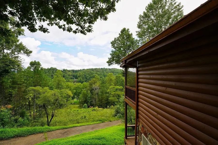 152 Cowboy Way, Mineral Bluff, GA 30559 - #3