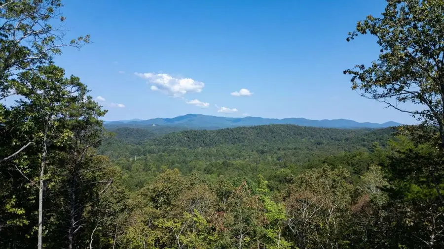 460 Back Pine Way, Ellijay, GA 30536 - Image #3