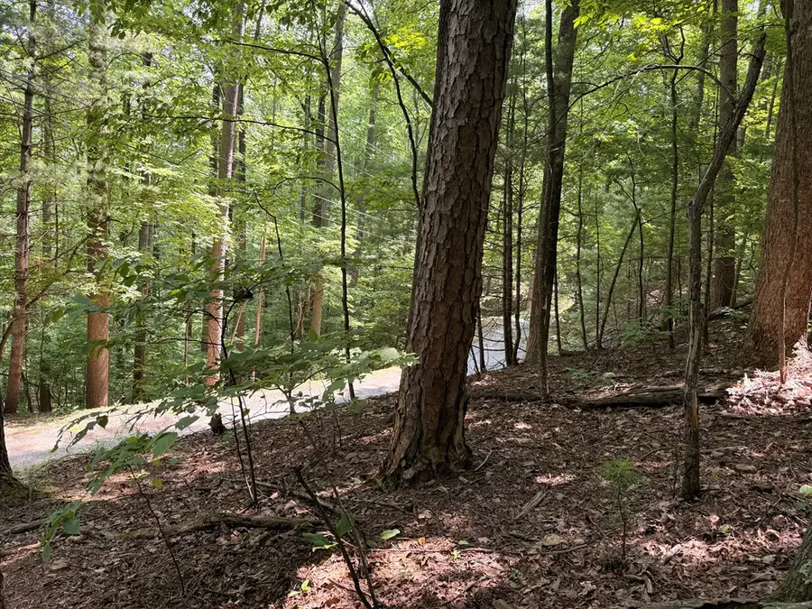 LT J351 Mountain View Court, Ellijay, GA 30536 - Image #3