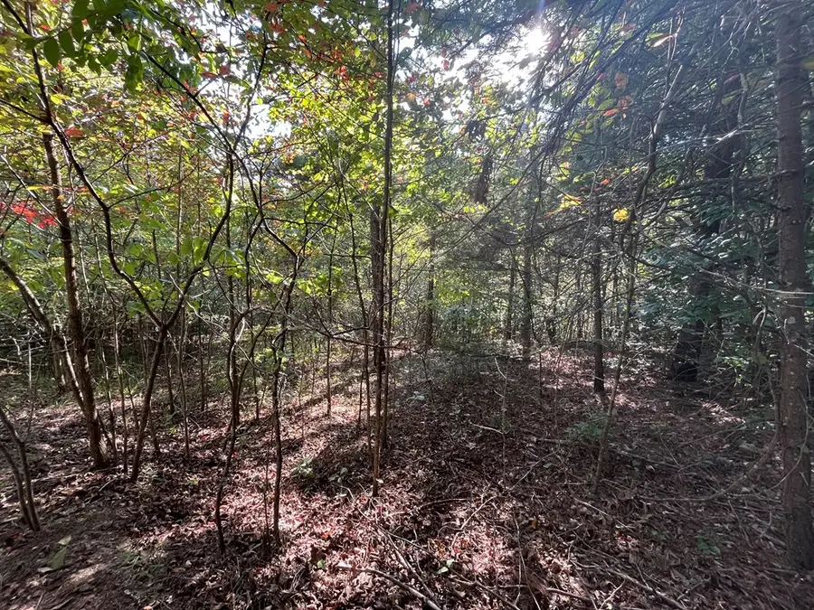 TBD Posey Place, Murphy, NC 28906 - Image #2