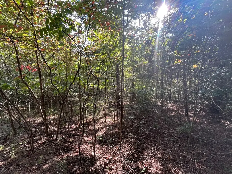 TBD Posey Place, Murphy, NC 28906 - Image #3