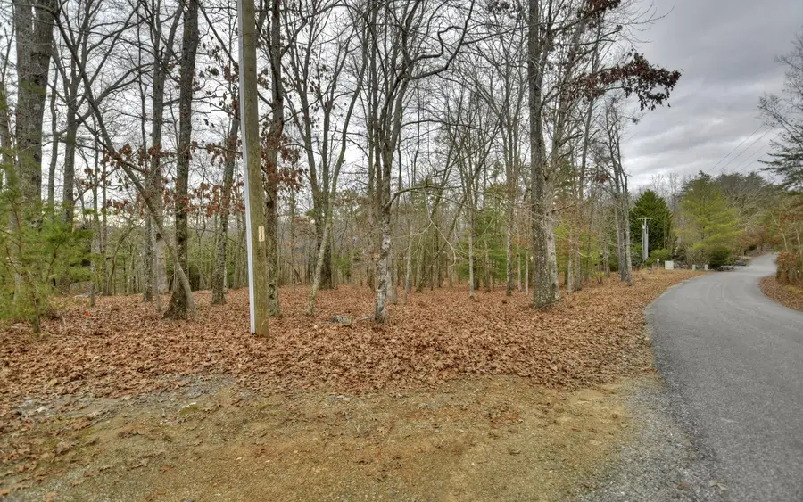 LT 57 Riverwalk On Toccoa, Mineral Bluff, GA 30559 - Image #2