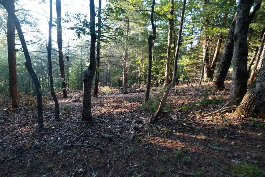Lot 11 Self Mountain Road, Blairsville, GA 30512 - #2