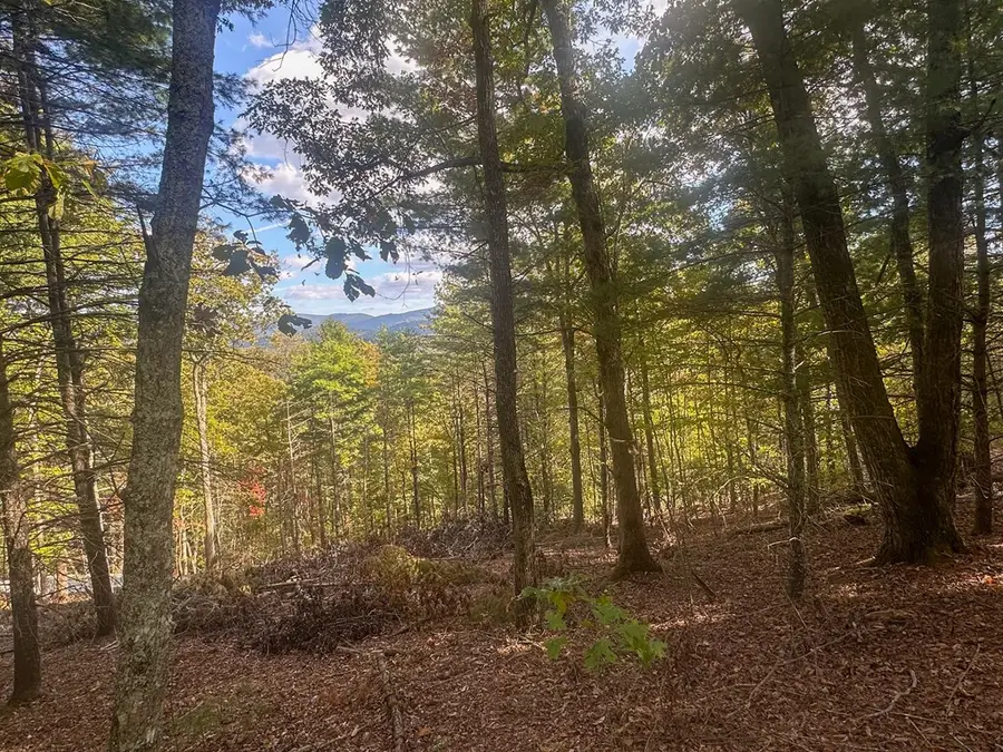 Lot 11 Self Mountain Road, Blairsville, GA 30512 - #3