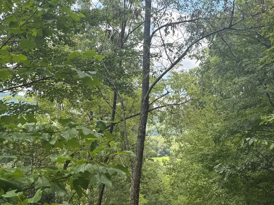 0000 Bethabara View #11, Hayesville, NC 28904 - Image #3