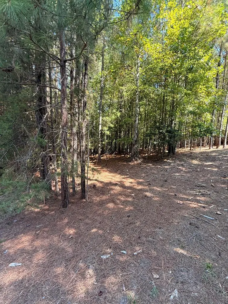 Lot 89 Creek Hollow Lane, Blairsville, GA 30512 - Image #2