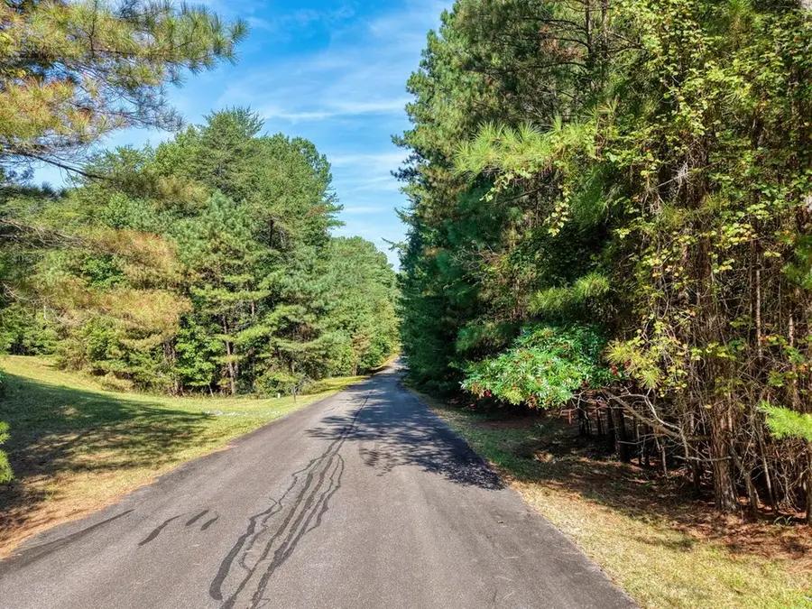 Lot 89 Creek Hollow Lane, Blairsville, GA 30512 - Image #3