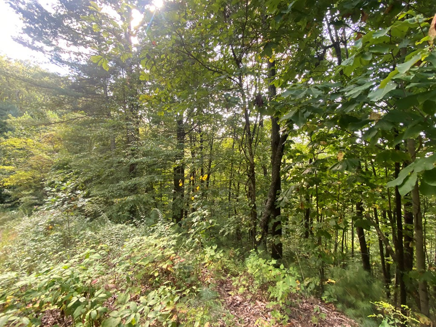 Lot 45 Big Secret Ln, Murphy, NC 28906 - Image #3