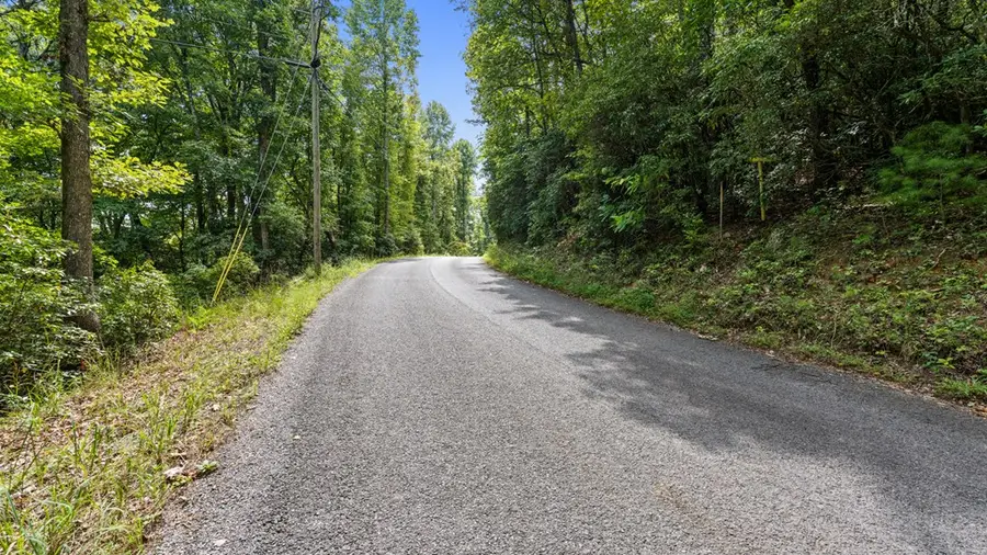 72 Old Parker Way, Ellijay, GA 30536 - Image #3