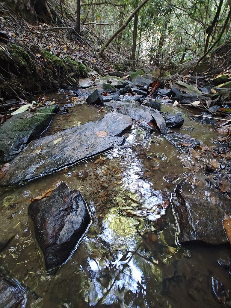 13 Reserve Estates Lane, Murphy, NC 28906 - Image #1