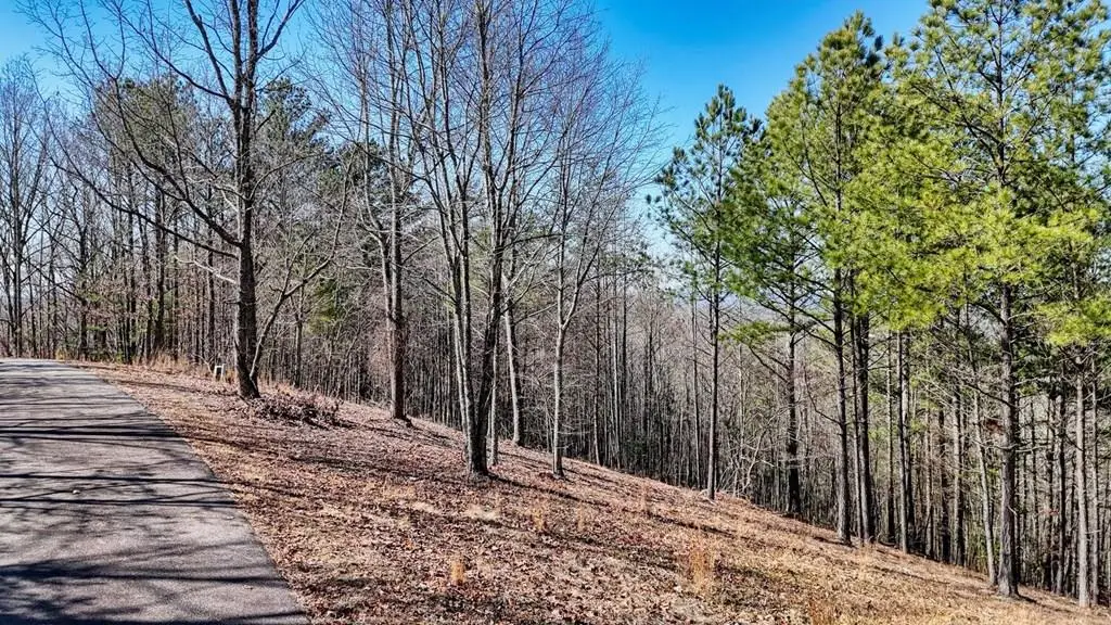 Lot 29 Loftis Mountain, Blairsville, GA 30512 - Image #1