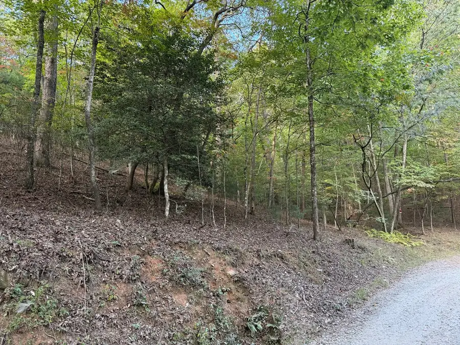 4ac. Old Mill Road, Mineral Bluff, GA 30559 - Image #2