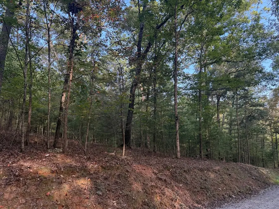 4ac. Old Mill Road, Mineral Bluff, GA 30559 - Image #3