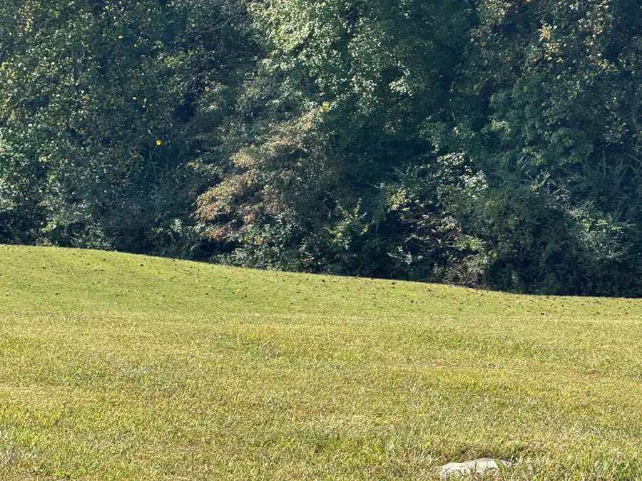 Lot 113 Owen Glen Drive, Blairsville, GA 30512 - Image #2