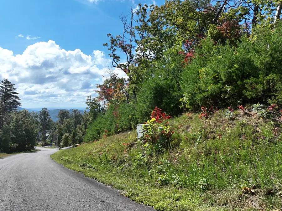 246 Andes Ridge, Ellijay, GA 30536 - Image #2