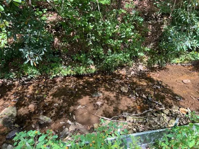 184/196 Bear Bend, Blairsville, GA 30512 - #1